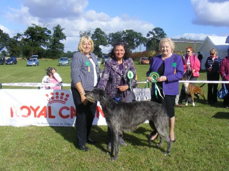 BIS Suffolk Kennel Association