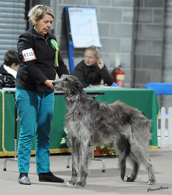 CC Winners Scottish Breeds 2012