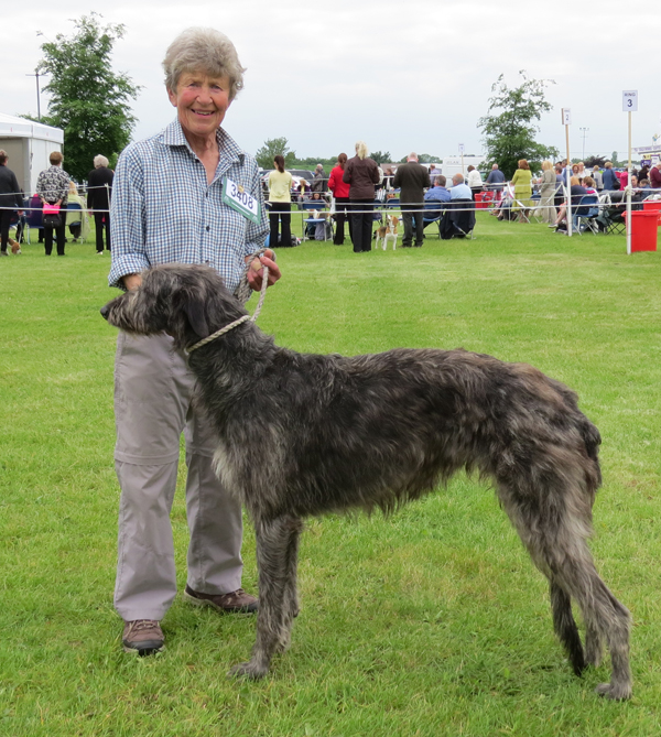 Beardswood Ripley for Calbraidh