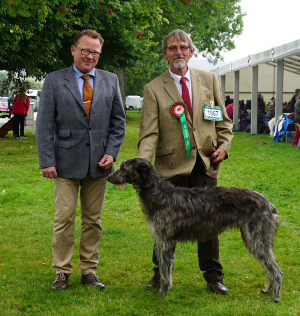 Best Puppies Welsh Kennel Club 2014