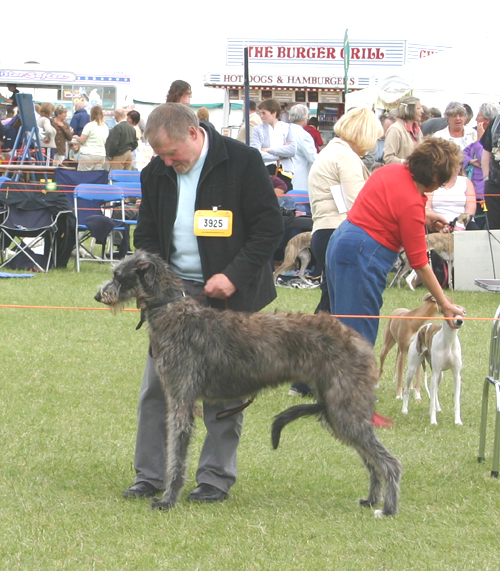 Tartraven Kayholm at Reiversreach  