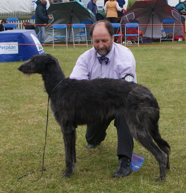 Best Puppy Blackpool 2011