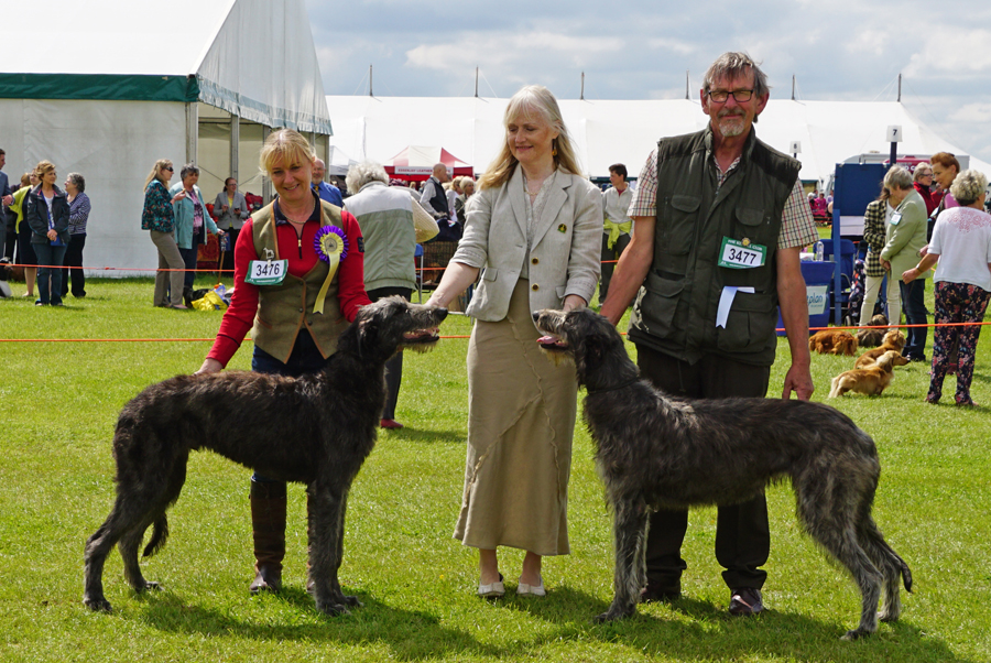 Best Puppy Blackpool 2015