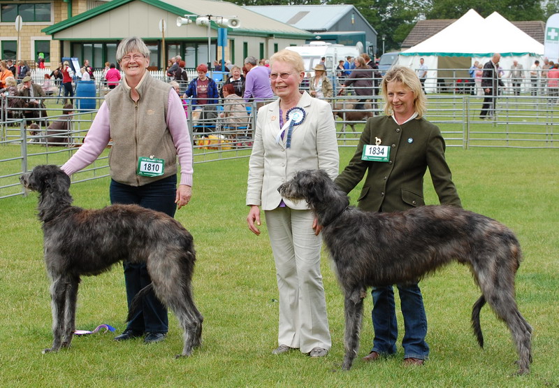 Best Puppy Border Union 2010