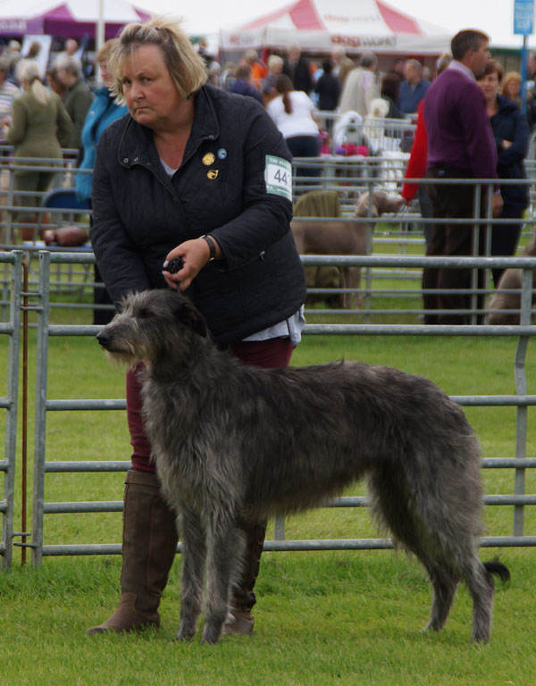 Gentiehun Adelaide of Kaleginy 