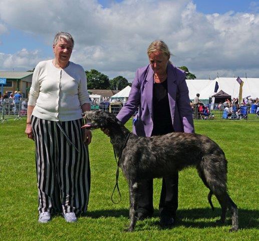 Best Puppy Border Union 2012