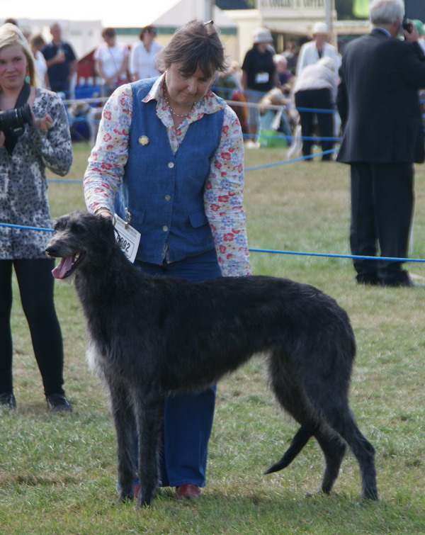 Rosslyn Pippa Of Beardswood