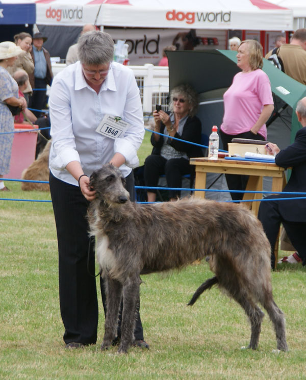 Harropine Spooks for Ollandshart