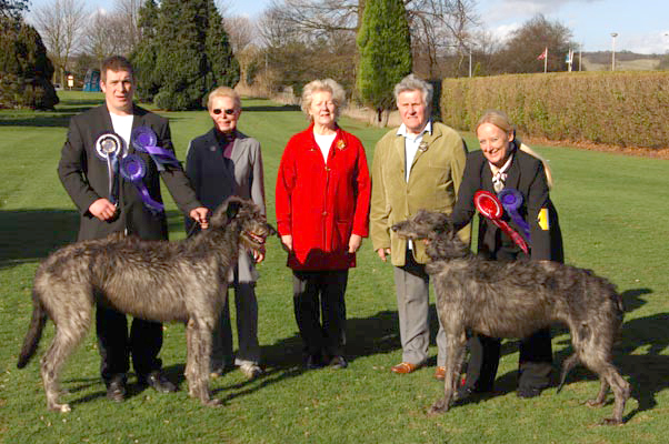 BOB & BOS Deerhound Club Breed Show 2006