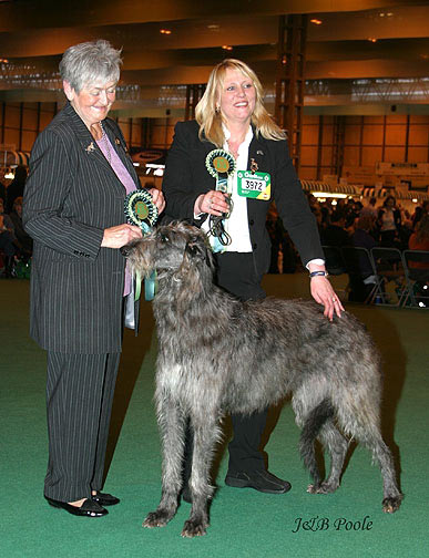 BOB & BOS Crufts 2004