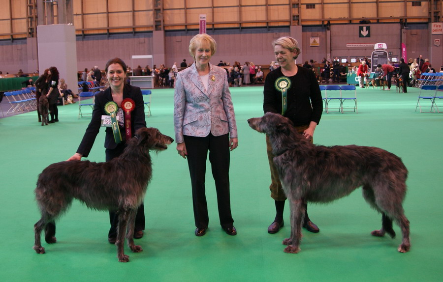 Crufts 2011 CC Winners