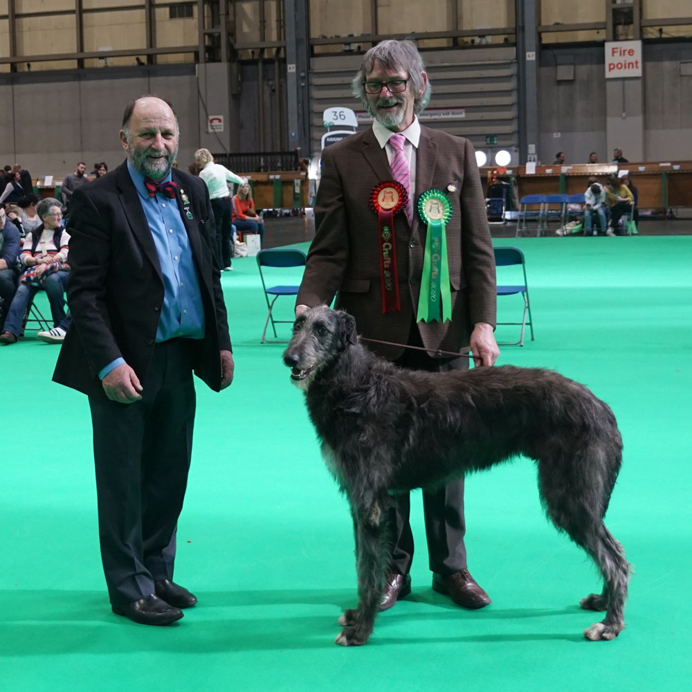 Best Puppu Crufts 2019