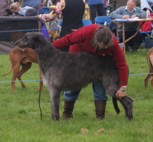 Greyfriars Gille of Beardswood