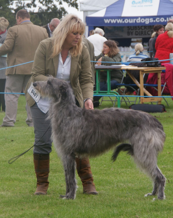 Ch. Greyflax Milly Molly Mandy