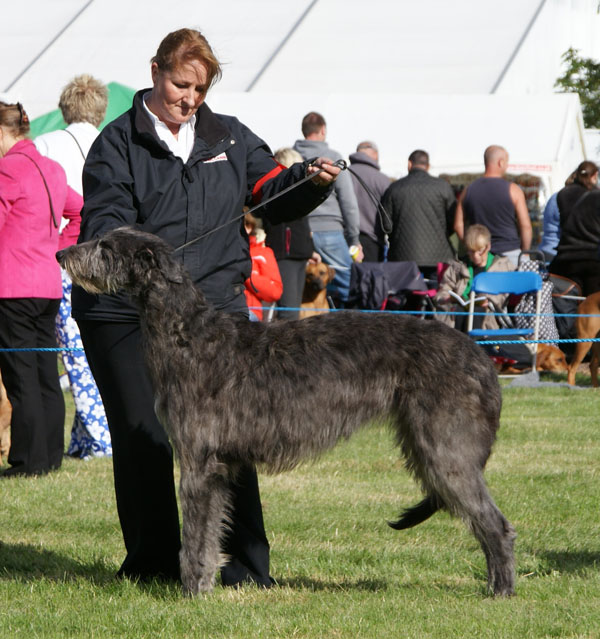 Cotherstone Duchenne