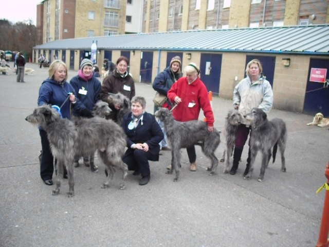 East Kent Canine Society 2009 Open Show