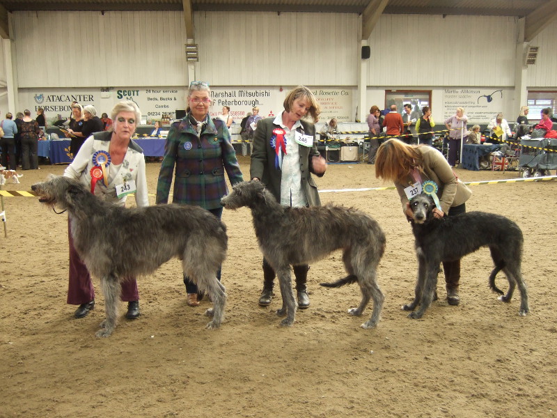 BOB & RBOB Hitchi Open Show 2013