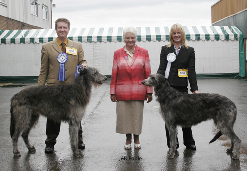 Ch. Glantanmoor Aluinn & Kilbourne Grey Ghost of Inverclyde