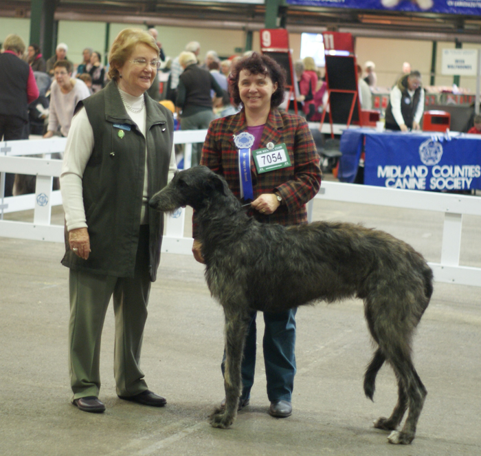 Best Puppy Midland Counties 2012