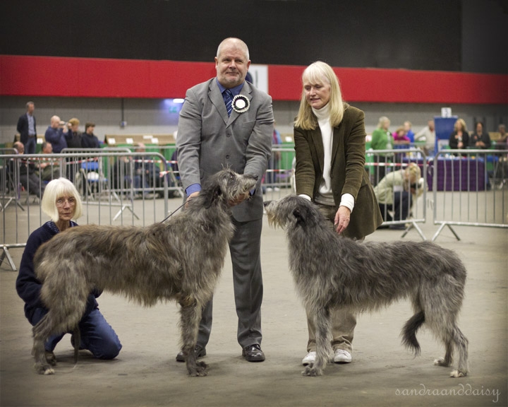 CC Winners Scottish Breeds 2012