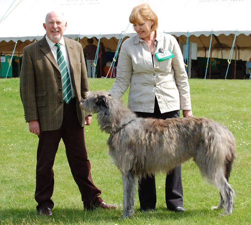 Kilbourne Comanche of Lordswell