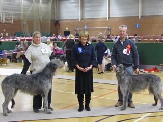 BOB & BOS Houndshow Open 2010