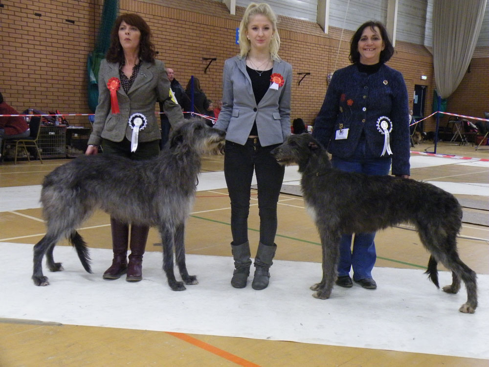 BOB & BOS Houndshow Open 2010