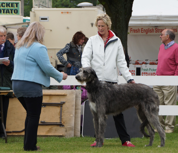 Beardswood Ripley for Calbraidh