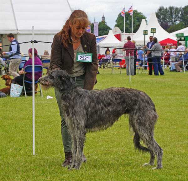 Packway Little Loxley