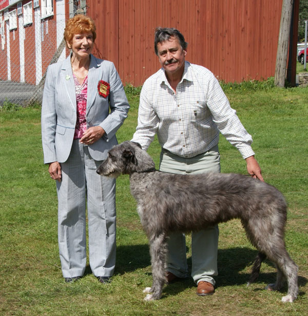 Best  Welsh Kennel Club 2011