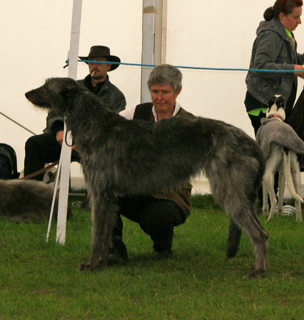 Pyefleet Skatha at Ollandshart